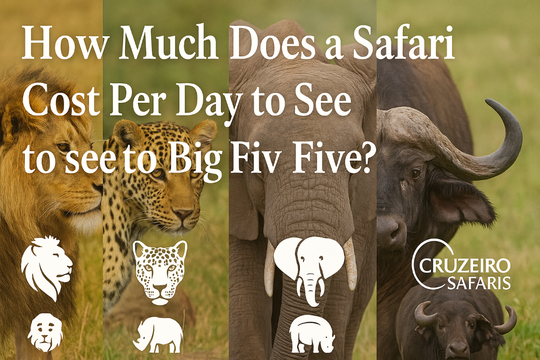 Kenya Safari Drive with Cruzeiro Safaris - 4x4 vehicle game drive in the wild