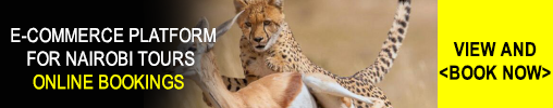 online booking banner - kenya safari packages 