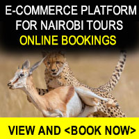 online booking tours, tours and travel  - Travel