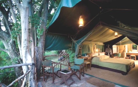 Kichwa Tembo Camp, Masai Mara Safari, Tour - Africa 