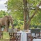 Governors camp Luxury - cruzeiro safaris