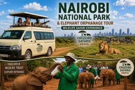 Nairobi National Park and Elephant Orphanage Tour