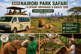 Nairobi National Park Elephant Orphanage and Giraffe Center