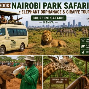 Cruzeiro Safaris Kenya safari minivan with pop-up roof in Nairobi National Park, featuring a lion, zebras, rescued baby elephants at the Sheldrick Wildlife Trust Elephant Orphanage, and a visitor feeding a Rothschild giraffe at the Giraffe Centre in Nairobi.