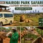 Cruzeiro Safaris Kenya safari minivan with pop-up roof in Nairobi National Park, featuring a lion, zebras, rescued baby elephants at the Sheldrick Wildlife Trust Elephant Orphanage, and a visitor feeding a Rothschild giraffe at the Giraffe Centre in Nairobi.
