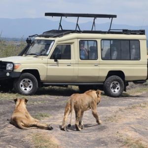 Lions in the foreground with a safari 4x4 Land Cruiser and tourists in the background on a Nairobi National Park half-day safari