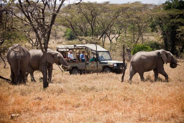 game drives with open side vehicles