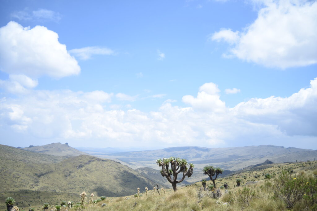 landscapes in Kenya