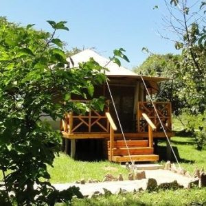 Cruzeiro Safaris Kenya safari vehicle game drive scene