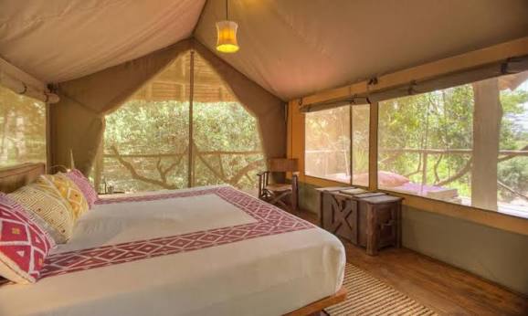 Luxury safari tent with a king-size bed and panoramic views of the African wilderness, offering comfortable accommodation during a Kenya safari with Cruzeiro Safaris Kenya.