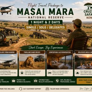 Solo traveler enjoying a Masai Mara fly-in safari with Cruzeiro Safaris Kenya, featuring a scenic flight from Nairobi, luxury safari accommodation, wildlife game drives, elephants on the savannah, and panoramic views of the Masai Mara National Reserve.