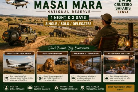 Solo traveler enjoying a Masai Mara fly-in safari with Cruzeiro Safaris Kenya, featuring a scenic flight from Nairobi, luxury safari accommodation, wildlife game drives, elephants on the savannah, and panoramic views of the Masai Mara National Reserve.
