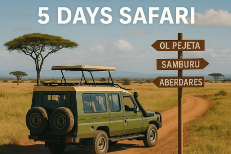 Kenya safari jeep with Cruzeiro Safaris branding, surrounded by elephants and a lion on a dirt road with signposts to Ol Pejeta, Samburu, and Aberdares