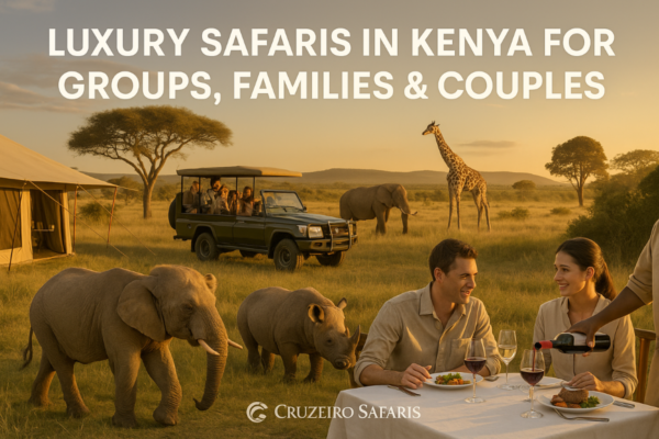 Luxury safari experience in Kenya featuring elegant lodges and scenic views for couples, families, and groups