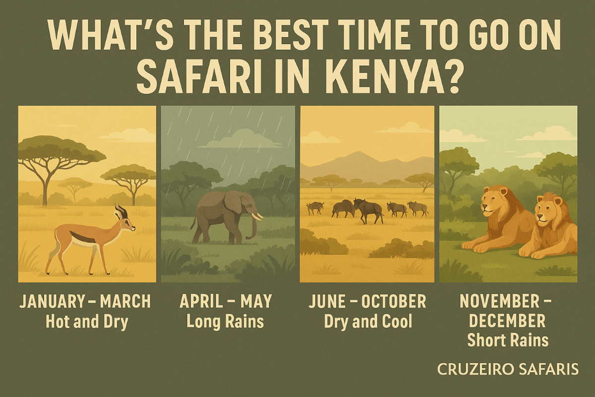 Birdwatching in Kenya - colorful birds during green season