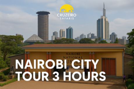 Nairobi National Museum with Nairobi city skyline and Cruzeiro Safaris branding for a 3-hour city tour.