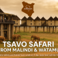Elephants near Salt Lick Safari Lodge during a Tsavo Safari from Malindi and Watamu with Cruzeiro Safaris Kenya.