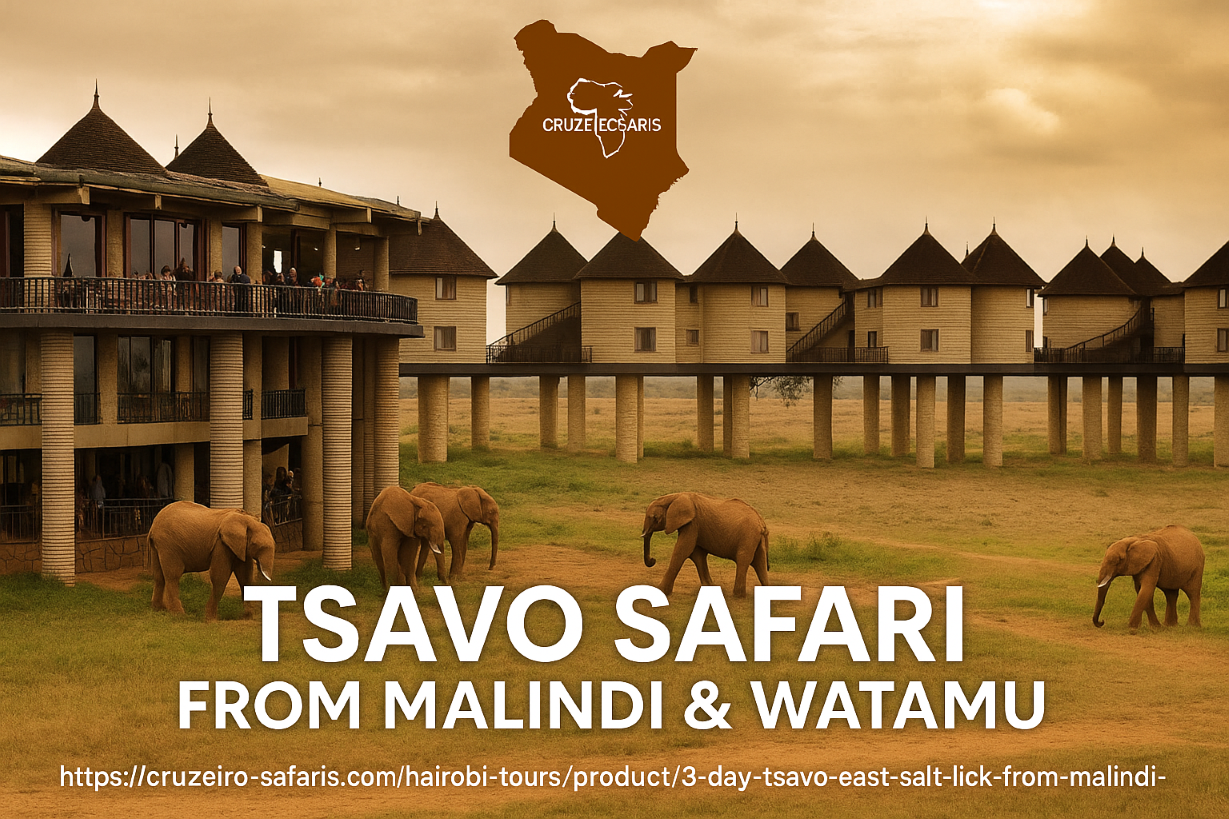 Elephants near Salt Lick Safari Lodge during a Tsavo Safari from Malindi and Watamu with Cruzeiro Safaris Kenya.