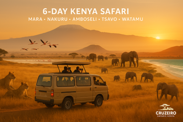 Safari van photographing lions and elephants, flamingos over Lake Nakuru, Kilimanjaro, and Watamu beach