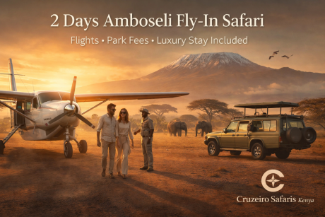 2 Days Amboseli fly-in safari at golden sunrise with bush plane arrival, couple welcomed by safari guide, elephants near 4x4 Land Cruiser and Mount Kilimanjaro in the background.