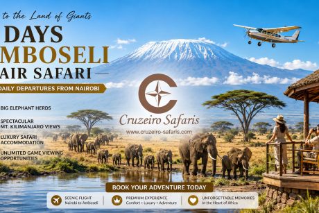 Luxury travel advertisement for a 3-Day Amboseli Air Safari from Nairobi featuring large elephant herds crossing the golden savannah of Amboseli National Park beneath snow-capped Mount Kilimanjaro. A small safari aircraft flies overhead under clear blue midday skies, while guests relax on the deck of a luxury safari lodge overlooking wildlife and a watering hole. The Cruzeiro Safaris logo is prominently displayed at the center of the design alongside safari package highlights and booking information.