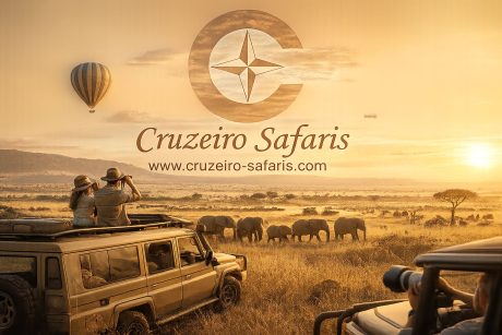 Cruzeiro Safaris luxury Maasai Mara safari at sunset featuring wildlife, safari vehicles, hot air balloon, and the transparent Cruzeiro Safaris logo over the Kenyan savannah.