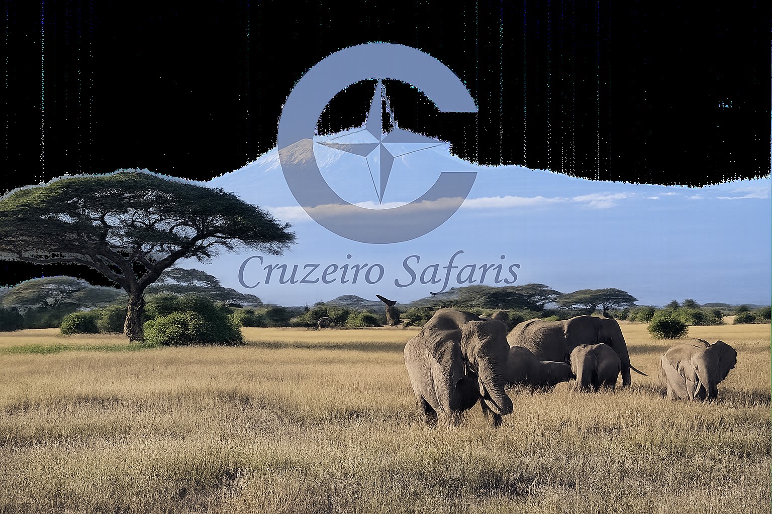 Herd of African elephants grazing in Amboseli National Park with snow-capped Mount Kilimanjaro in the background, featuring a transparent Cruzeiro Safaris. Experience unforgettable Kenya wildlife safaris with Cruzeiro Safaris Kenya.