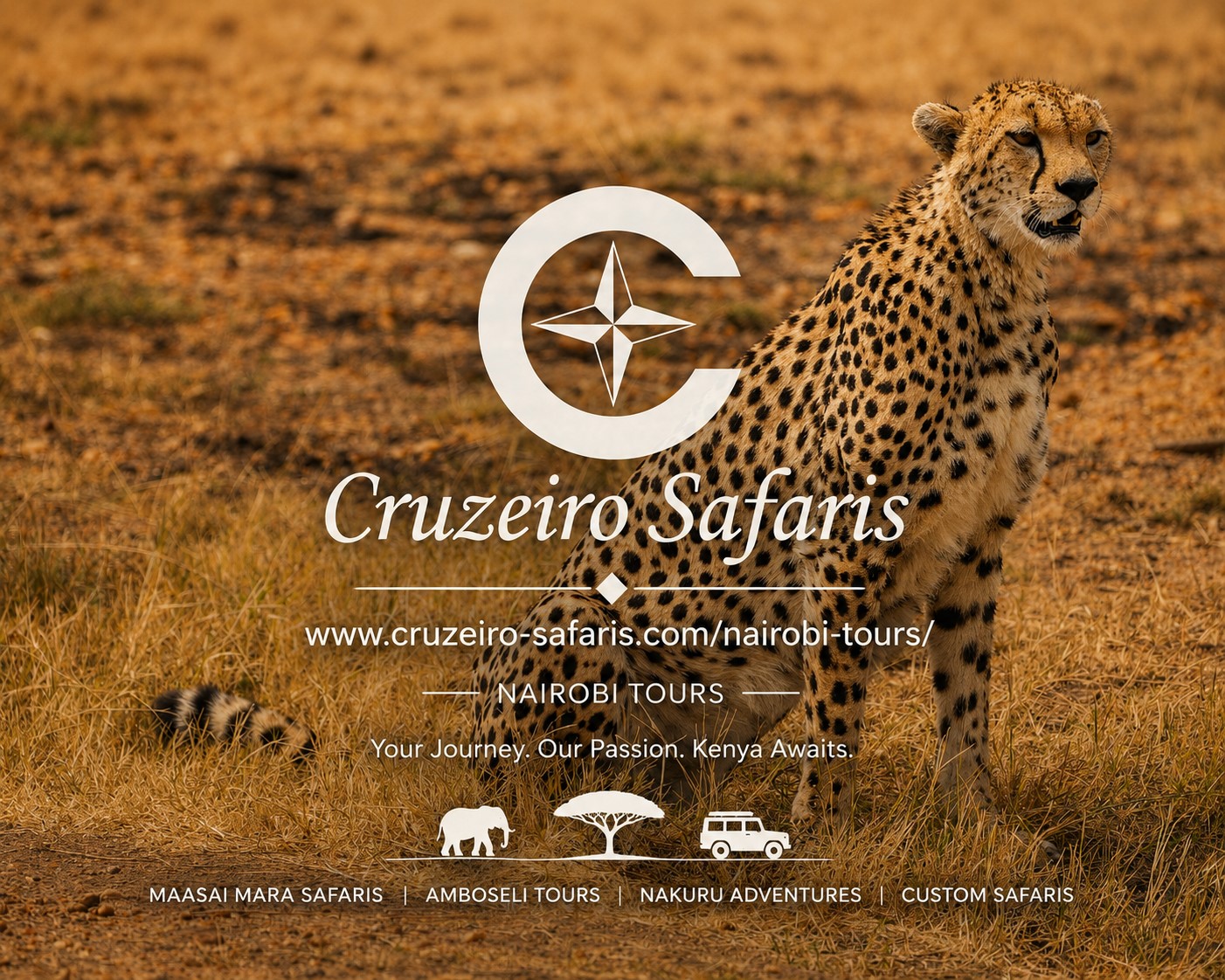 Adult cheetah resting in the golden grasslands of Maasai Mara National Reserve, Kenya. Experience Big Five safaris, wildlife photography tours, and direct Kenya safari bookings with Cruzeiro Safaris.