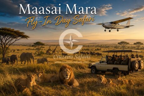 Luxury Maasai Mara Fly-In Day Safari by Cruzeiro Safaris Kenya featuring a light aircraft, 4x4 safari vehicle, lions, elephants, giraffes and wildebeest on the golden savannah under dramatic African skies.