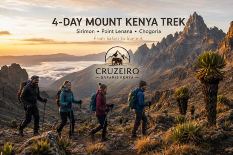 Four trekkers hiking Mount Kenya via Sirimon Route to Point Lenana and descending Chogoria on a 4-day trek with Cruzeiro Safaris Kenya.