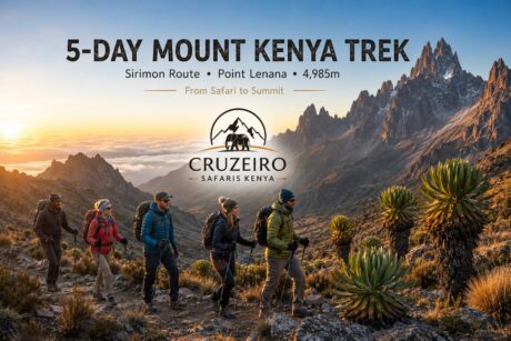 International trekkers hiking Mount Kenya via the Sirimon Route to Point Lenana at 4,985m with Cruzeiro Safaris Kenya.