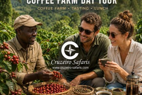 Nairobi Coffee Farm Day Tour in Kenya with coffee tasting and lunch by Cruzeiro Safaris Kenya